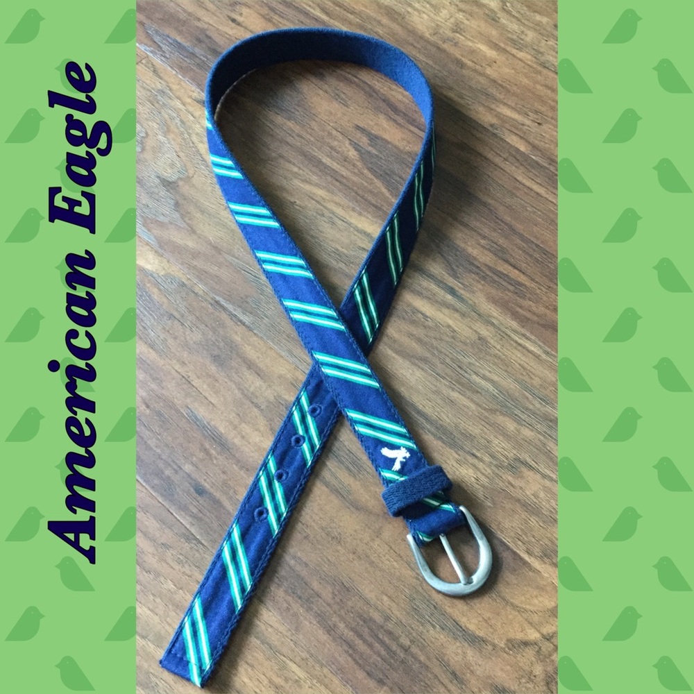 Stylish American Eagle Blue & Green Striped Belt
